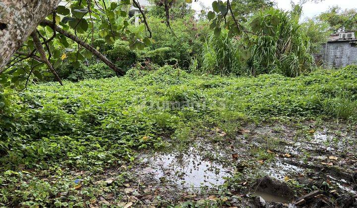 Tanah Strategis Akses Mudah di Kayu Tulang, Canggu, Kuta Utara, Bali NEGO 2