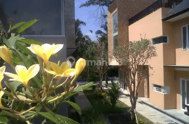 Dijual Villa Mewah di Bali Tegal Alang Ubud Bali,investasi Bagus 2