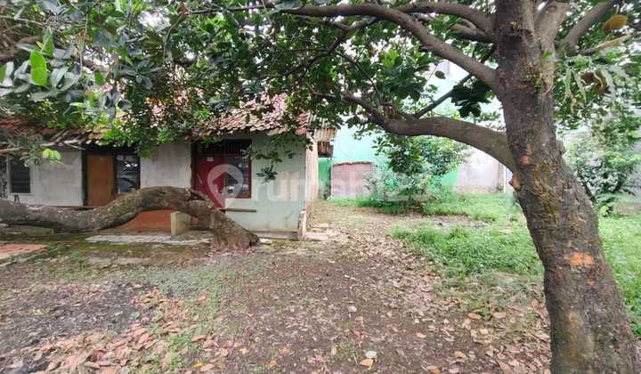 Large Land in Tugu Cimanggis Depok Suitable for Residence