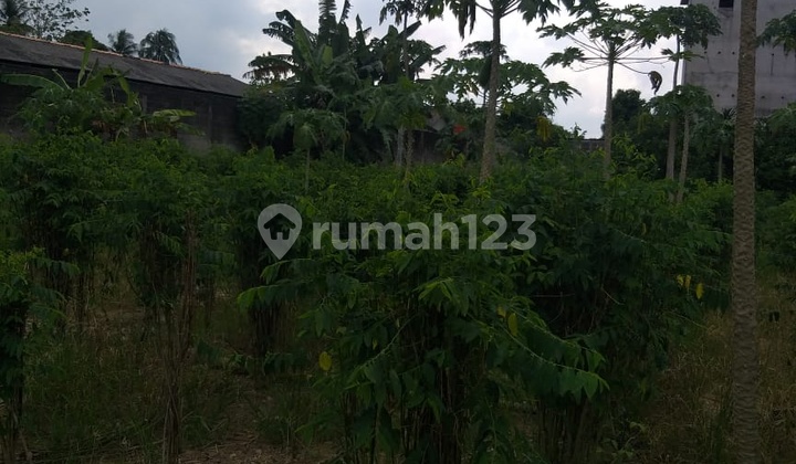 Di Jual Tanah Murah Lokasi Di Bangka Belitung 11