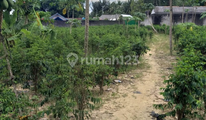 Di Jual Tanah Murah Lokasi Di Bangka Belitung 14