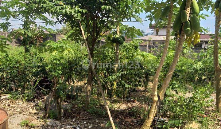 Di Jual Tanah Murah Lokasi Di Bangka Belitung 17