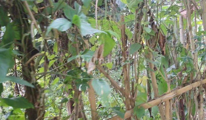 Di Jual Tanah Strategis di Jalan Pajajaran Bogor 6
