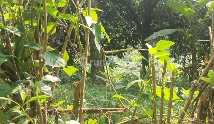 Di Jual Tanah Strategis di Jalan Pajajaran Bogor 9