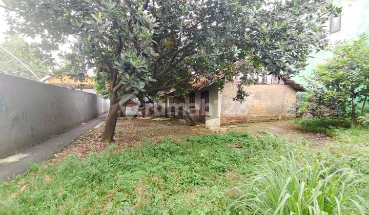 Large Land in Tugu Cimanggis Depok Suitable for Residence