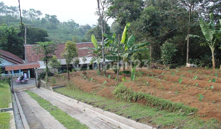 Tanah Kebun dan Kandang Ternak Ayam di Cijeruk