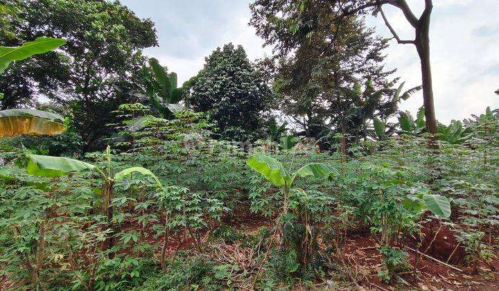 Mekarsari cileungsi Bogor.tanah Dijual Rp 1,5 Juta/meter 2