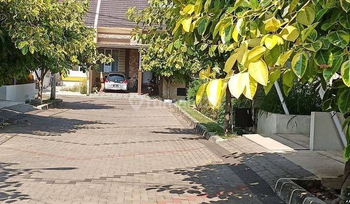 Rumah Hunian Asri Siap Huni Cimanggu City Tanah Sareal Kota Bogor 2