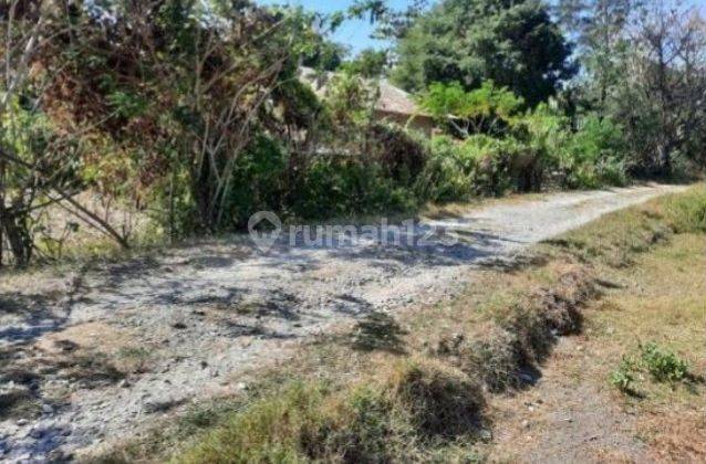 Tanah Sebelah Kantor Desa Depan Jalan Timor Raya 1