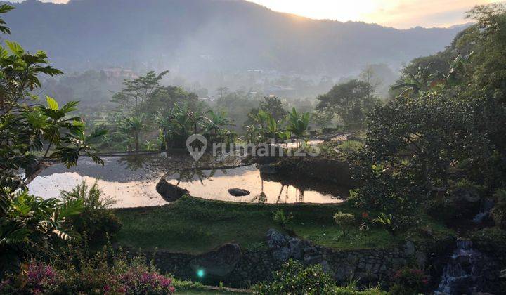 Tanah Dan Bangunan Villa Di Puncak (Montain View) 2