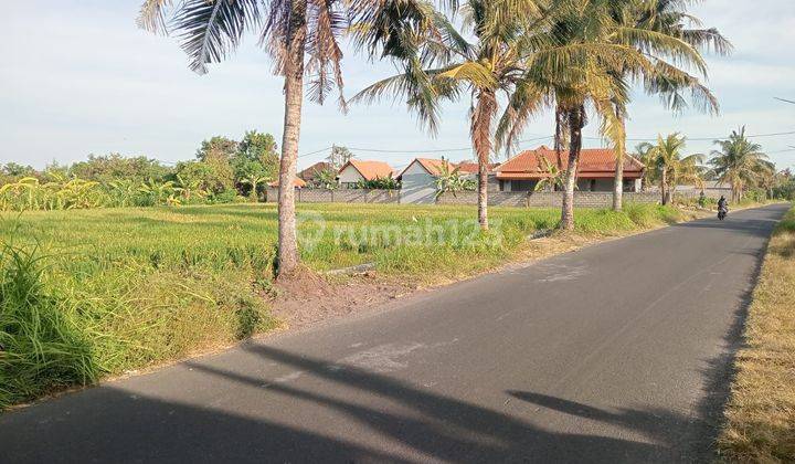 For Sale Land 31 Are 14 Are Location on the Main Road Tegenungan Sukawati Gianyar Bali Near Ubud 2