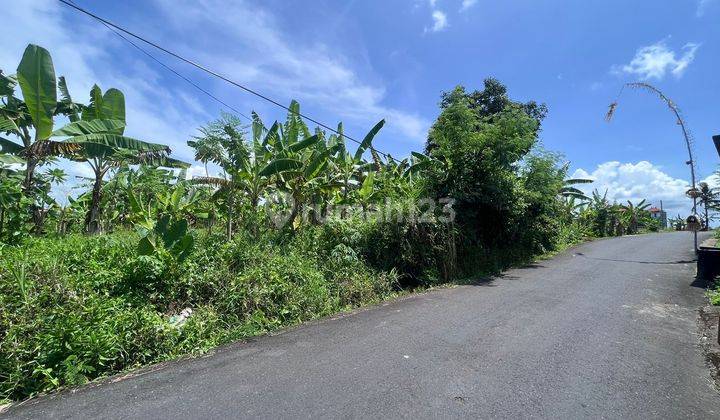 Dijual Tanah Strategis View Sawah di Kawasan Villa Turis di Jalan Tumbak Bayuh Canggu Kuta Utara 1