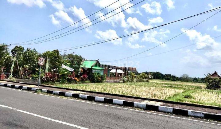 Dijual Tanah Premium di Jalan Utama Pantai Tanah Lot Tabanan Bali Berjarak 500 Mtr Ke Pantai Jalan Kaki  1