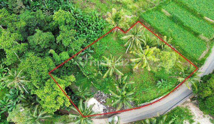 Land for sale with Jungle Rice Field View in the Begawan Giri Payangan Ubud area  1