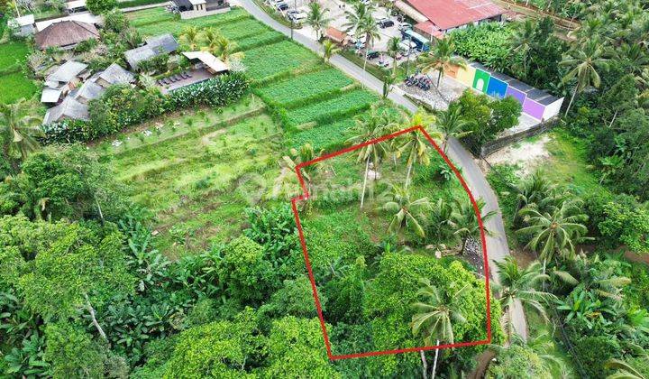 Land for sale with Jungle Rice Field View in the Begawan Giri Payangan Ubud area  2