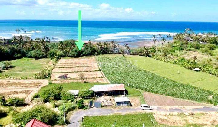 Dijual Murah Tanah Los Sungai & View Laut di Pantai Rangkan Ketewel - Gianyar
( Berjarak 70 Mtr ke Pantai) 2