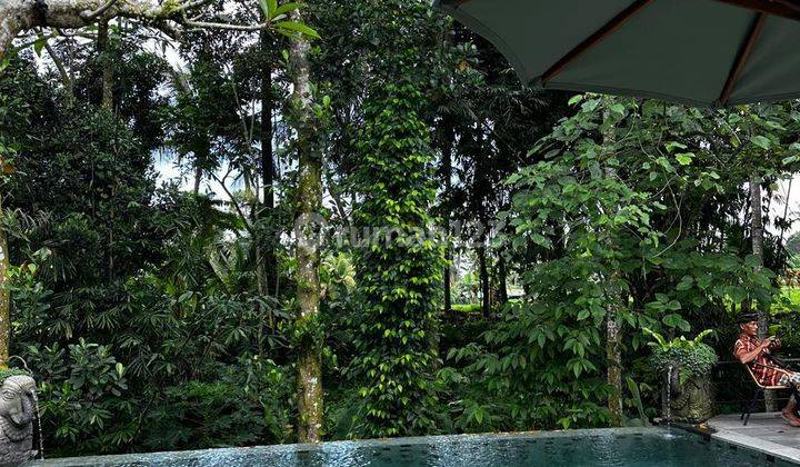 FOR SALE : VILLA WITH RIVER VIEW & JUNGLE INPAYANGAN UBUD - BALI ( Fully Furnished ) 1