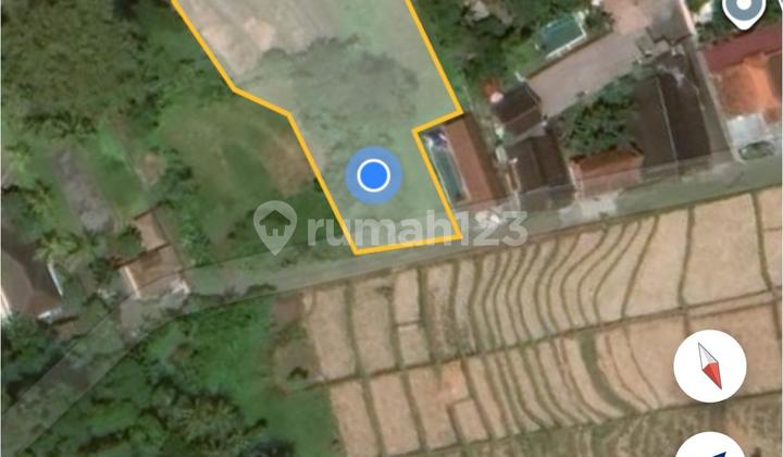 FOR SALE: RICE VIEW OF NYANYI, TABANAN, BALI, COMMERCIAL VILLA NEIGHBORHOOD FOR SALE: RICE VIEW OF NYANYI, TABANAN, BALI, COMMERCIAL VILLA NEIGHBORHOOD