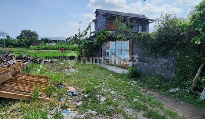 FREEHOLD Tanah View Sawah Jl. Persada Kerobokan, 300 meter dari Bali Kiddy School