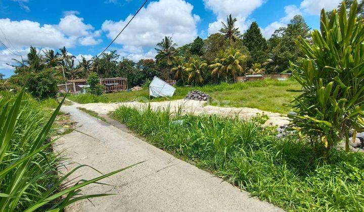 Land for Sale in the Villa Resort Area Pejeng Kangin Ubud Bali 1