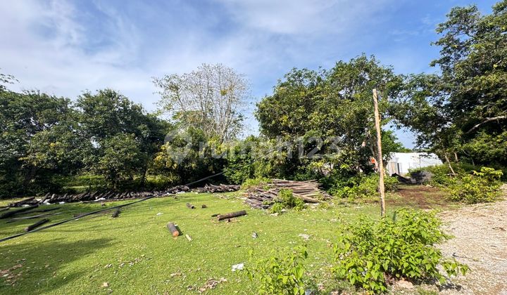 RARE LAND SMALL PLOT JL balangan beach