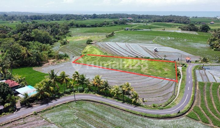 Land with Views of Rice Fields and Sea, 1 Km to Abiankapas Beraban Tabanan Beach Land with Views of Rice Fields and Sea, 1 Km to Abiankapas Beraban Tabanan Beach