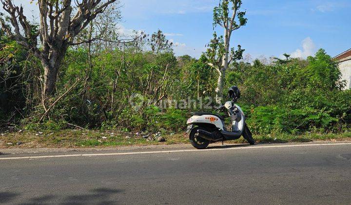 For Sale Main Road Land In Uluwatu Pecatu South Of Kuta Cocok Untuk Dibangun Guesthouse, Restoran, Homestay Villa 1