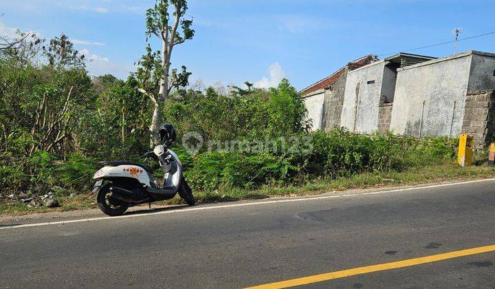 For Sale Main Road Land In Uluwatu Pecatu South Of Kuta Cocok Untuk Dibangun Guesthouse, Restoran, Homestay Villa 2