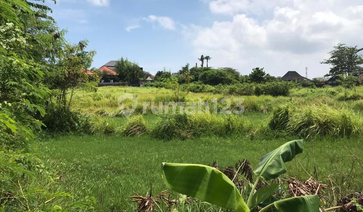 Land on Umalas Kerobokan Kuta Road Suitable for Villa / Villa Complex / Apartment with Rice Field View