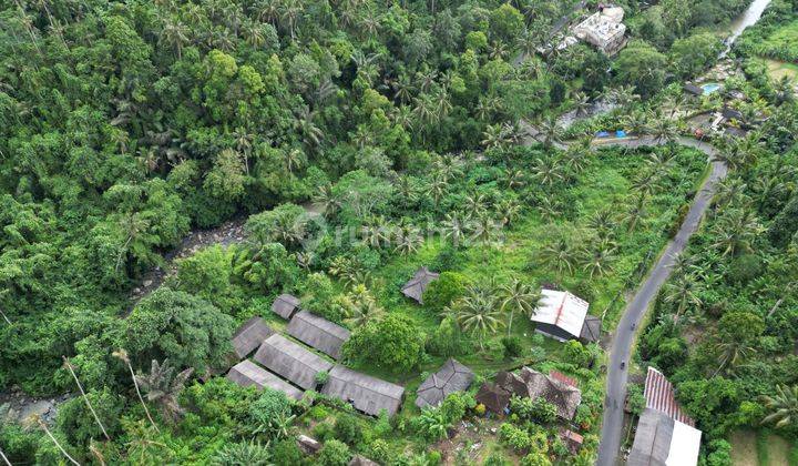 FOR SALE LAND LOKASI JATILUWIH TABANAN DAN DESTINASI PARIWISATA DAN VIEW SAWAH DAN DI KELILINGI LOSS SUNGAI BESAR 1