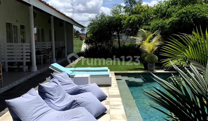 Freehold GUESTHOUSE Canggu SUbak Daksina Full Furnish Only 8 menit to Canggu Beach