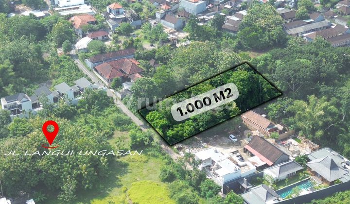 Tanah Murah Lingkungan Villa Elit Cocok untuk Investasi Jl Langui Kauh Ungasan
