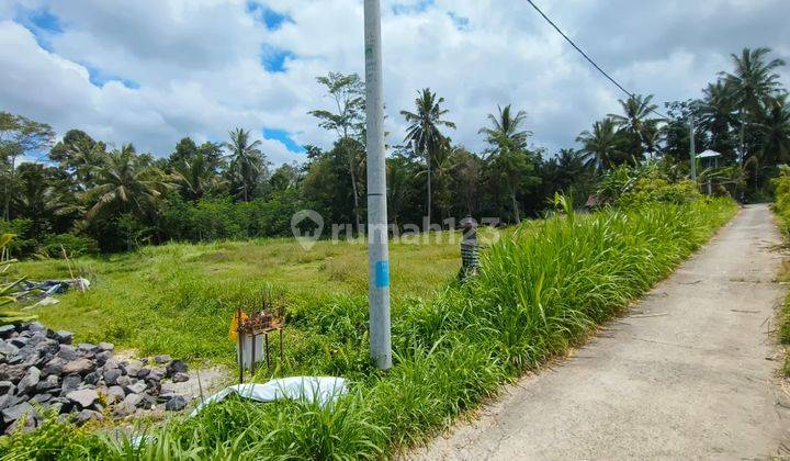 Land for Sale in the Villa Resort Area Pejeng Kangin Ubud Bali 2