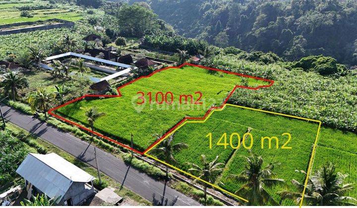 For Sale Land 31 Are 14 Are Location on the Main Road Tegenungan Sukawati Gianyar Bali Near Ubud 1