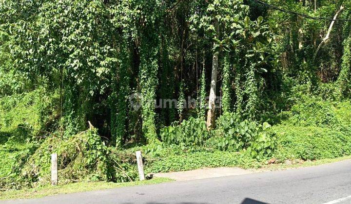 Quick Sale Price Under Market Land Los Sungai Tebing on the Main Road of Ubud Gianyar Bali Very Close to Ubud Central, Hotel Maya and Prime Area in Ubud Area 2