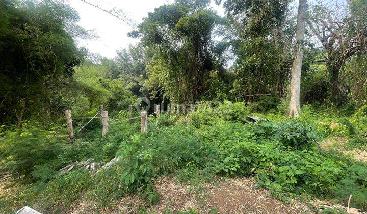 For Sale Quickly Cheap Land in the Padanggalak Beach Villa Area, Sanur, Denpasar, Bali Suitable for Villa Complex, Guest House, Investment Plots 1