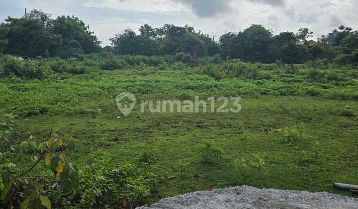 Balangan Jimbaran Bali Hanya 650 Meter ke Pantai Balangan Jimbaran Bali
