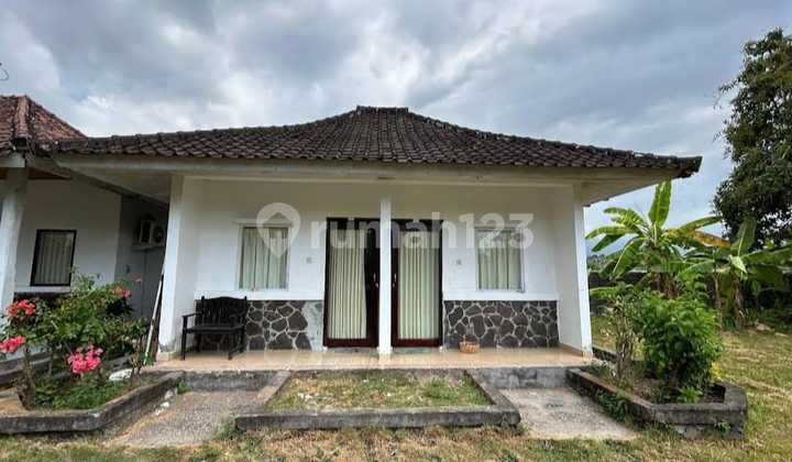 Ex Hotel, Jalan Pantai Happy, Buleleng