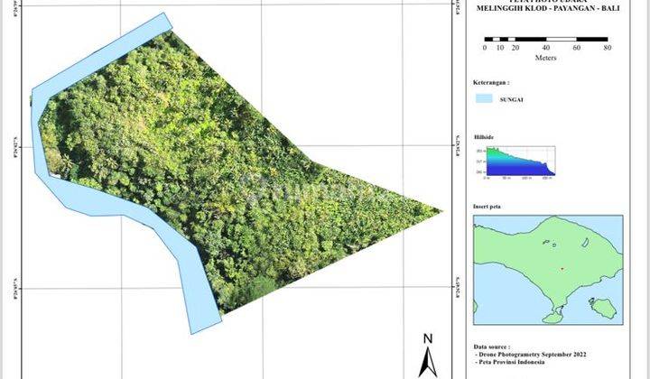 Price Drop Edition Need A Quick Deal For Sale Quickly Cheap Land Los Sungai Ayung in the 5 Star Hotel Area Payangan Ubud Bali 2