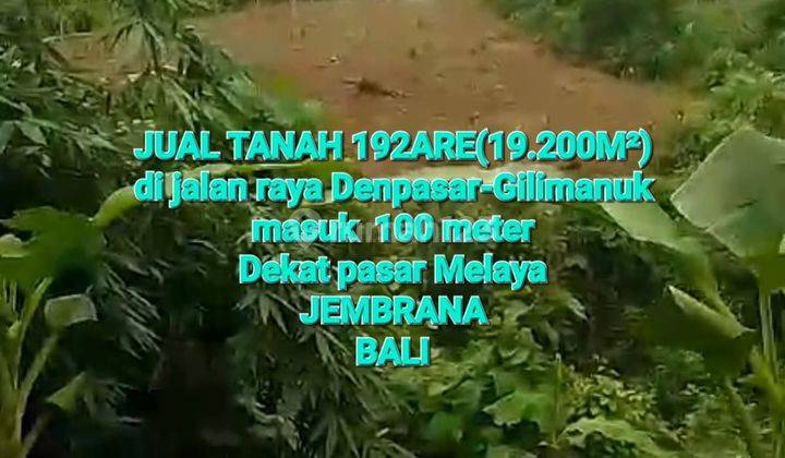 BUTUH UANG CEPAT (SERTIFIKAT ON HAND) Jual TANAH di jalan raya Dps Gilimanuk (masuk +-100 meter dataran tinggi) kecamatan SERAYA kabupaten JEMBRANA NEGARA BALI COCOK UNTUK PERUMAHAN ATAU DIKAVLING 2