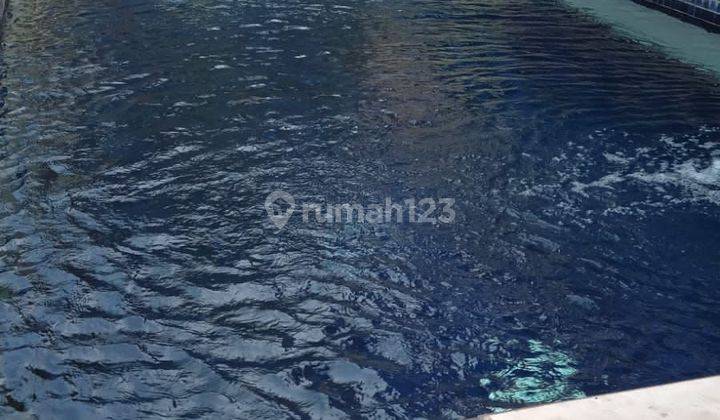 Rumah Pik Dijual Cluster Walet Permai 4 Lantai Harga 13 M Nego Ada Pool  2