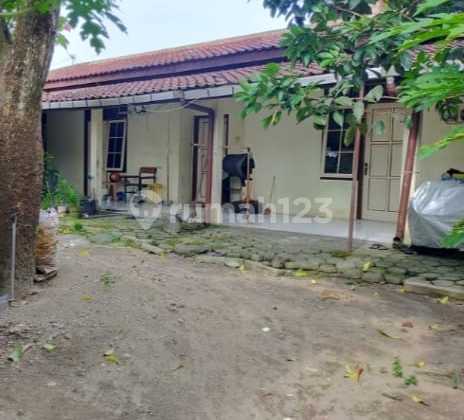 Rumah Hitung Tanah Di Jl Menjangan Kuncen Yogjakarta