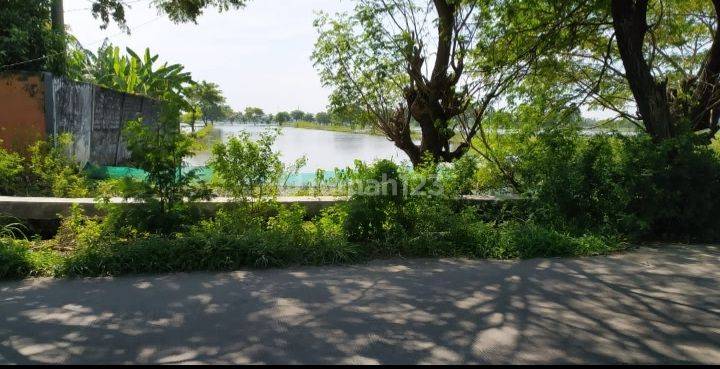 Tanah Tambak Nol Jalan Sidomulyo Lamongan 5300 meter SHM  1