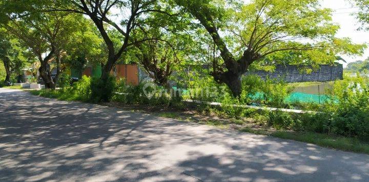Tanah Tambak Nol Jalan Sidomulyo Lamongan 5300 meter SHM  3