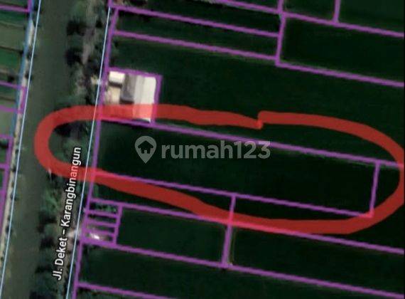 Tanah Tambak Nol Jalan Sidomulyo Lamongan 5300 meter SHM  6