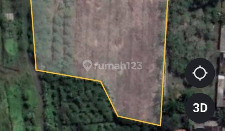 Tanah Pekarangan Prambon 4327m SHM Murah 375rb/m 1