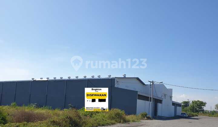 Warehouse for Rent 1250 Meters Romokalisari New Gress Warehouse for Rent 1250 Meters Romokalisari New Gress