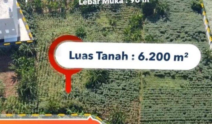 Dijual Tanah Bsd Raya Utama Cocok Untuk Bisnis 1