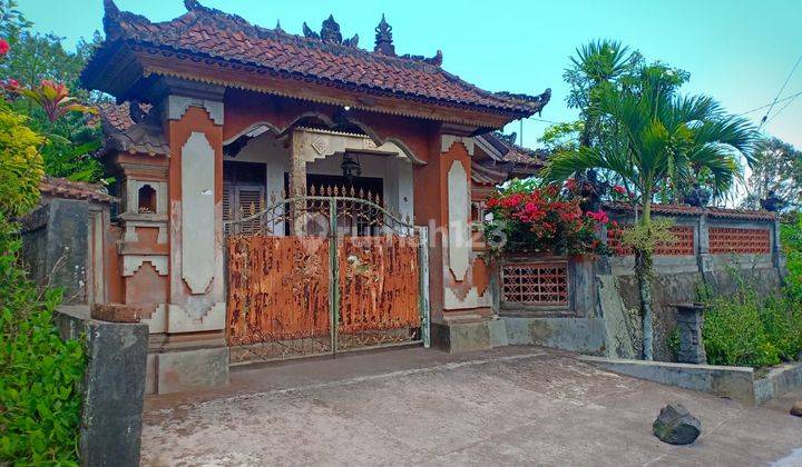 Dijual Kebun Kopi Robusta Dan Cokelat Di Buleleng 1