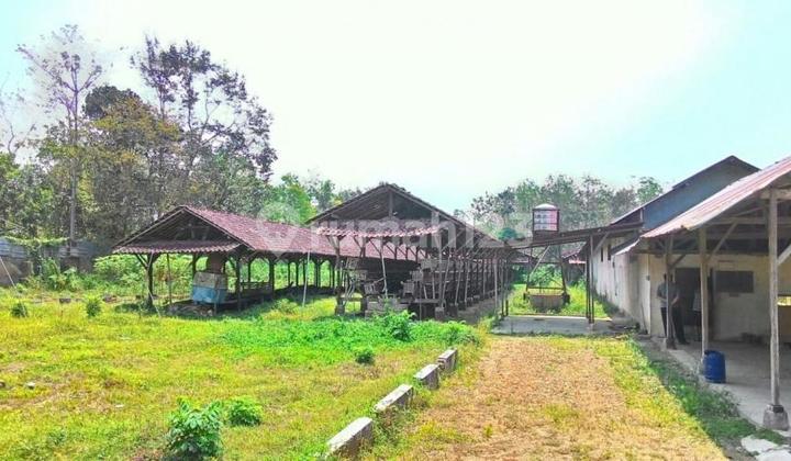 Dijual Bu Tanah di Mumbulsari Jember Jawa Timur